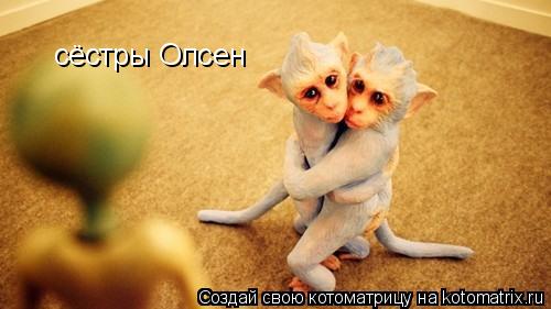 сёстры Олсен... Котоматрица: сёстры Олсен
