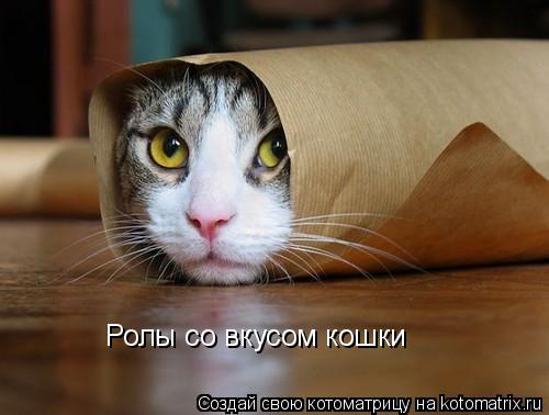 Ролы со вкусом кошки... Котоматрица: Ролы со вкусом кошки
