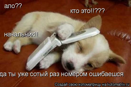 ало?? кто это!!??? начальник!! да ты уже сотый раз номером ошибаешся... Котоматрица: ало?? кто это!!??? начальник!! да ты уже сотый раз номером ошибаешся