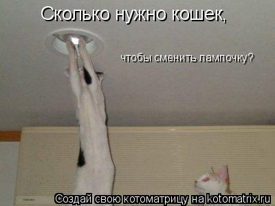 Сколько нужно кошек, чтобы сменить лампочку?... Котоматрица: Сколько нужно кошек, чтобы сменить лампочку?