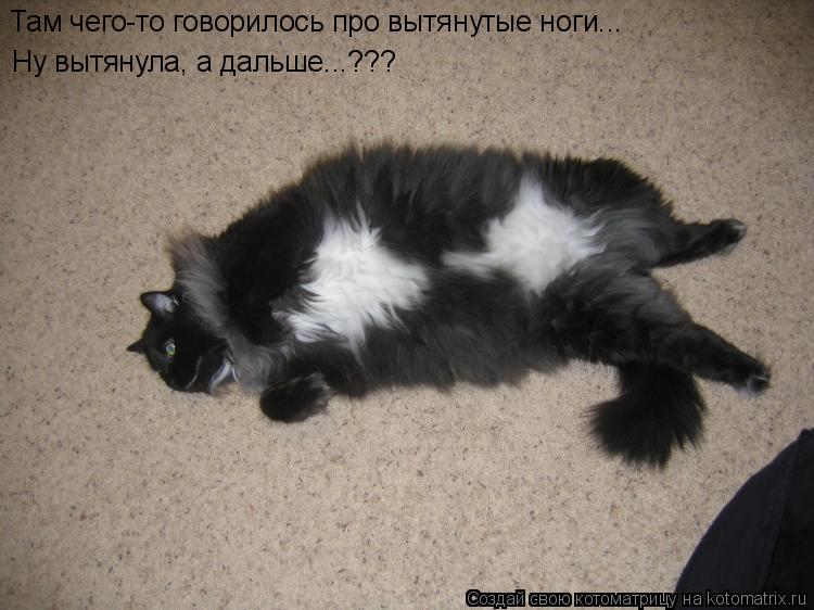 Там чего-то говорилось про вытянутые ноги... Ну вытянула, а дальше...???... Котоматрица: Там чего-то говорилось про вытянутые ноги... Ну вытянула, а дальше...???