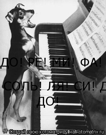 ДО! РЕ! МИ! ФА! СОЛЬ! ЛЯ! СИ! ДО! СОЛЬ! ЛЯ! СИ! ДО! ДО!... Котоматрица: ДО! РЕ! МИ! ФА! СОЛЬ! ЛЯ! СИ! ДО! СОЛЬ! ЛЯ! СИ! ДО! ДО!