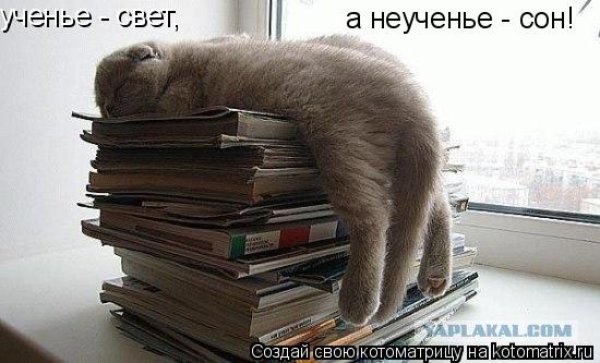 ученье - свет, а неученье - сон!... Котоматрица: ученье - свет, а неученье - сон!