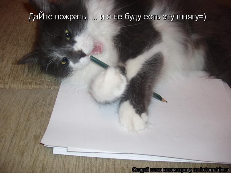 ДаЙте пожрать..... и я не буду есть эту шнягу=)... Котоматрица: ДаЙте пожрать..... и я не буду есть эту шнягу=)