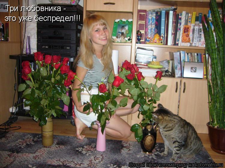 Три любовника - это уже беспредел!!!... Котоматрица: Три любовника - это уже беспредел!!!