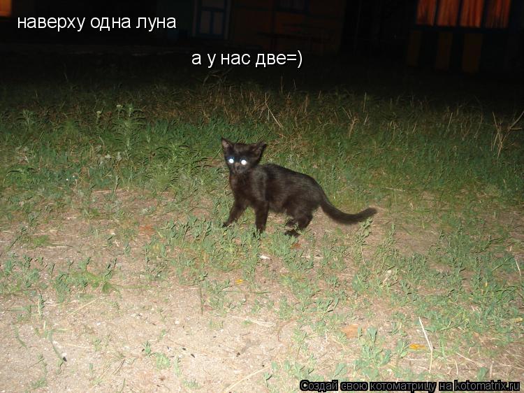 наверху одна луна а у нас две=)... Котоматрица: наверху одна луна а у нас две=)