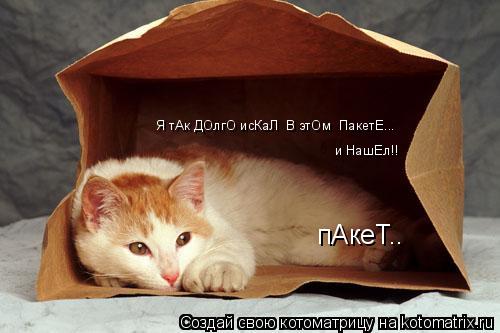 Я тАк ДОлгО исКаЛ В этОм ПакетЕ... и НашЕл!! пАкеТ..... Котоматрица: Я тАк ДОлгО исКаЛ В этОм ПакетЕ... и НашЕл!! пАкеТ..