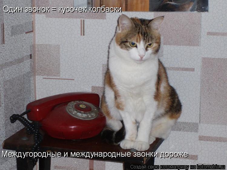 Один звонок = кусочек колбаски Междугородные и международные звонки дороже... Котоматрица: Один звонок = кусочек колбаски Междугородные и международные звонки дороже