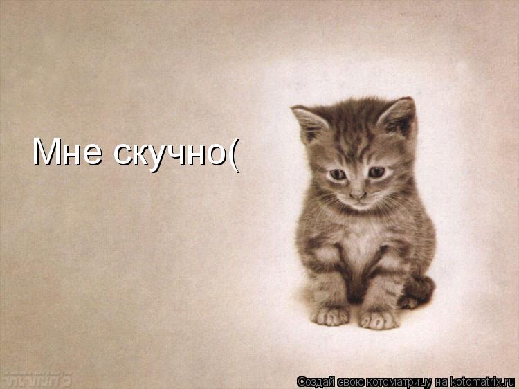 Мне скучно(... Котоматрица: Мне скучно(