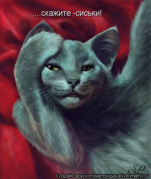 ....скажите -сиськи!... Котоматрица: ....скажите -сиськи!