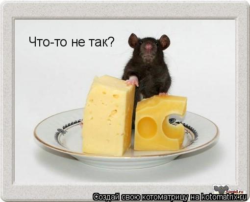 Что-то не так?... Котоматрица: Что-то не так?