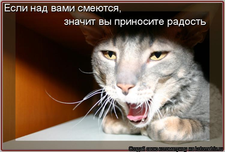 Если над вами смеются, значит вы приносите радость... Котоматрица: Если над вами смеются, значит вы приносите радость