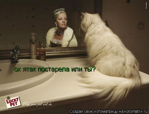 ох ятак постарела или ты?... Котоматрица: ох ятак постарела или ты?