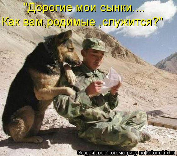 "Дорогие мои сынки.... Как вам,родимые ,служится?"... Котоматрица: "Дорогие мои сынки.... Как вам,родимые ,служится?"