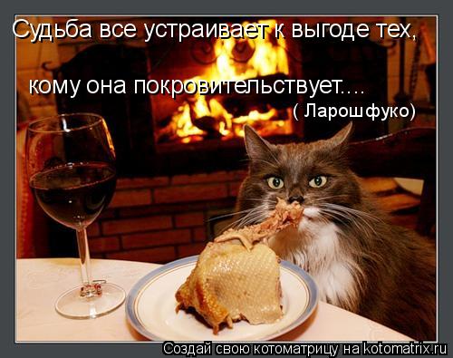 Судьба все устраивает к выгоде тех, кому она покровительствует.... ( Ларошфуко)... Котоматрица: Судьба все устраивает к выгоде тех, кому она покровительствует.... ( Ларошфуко)