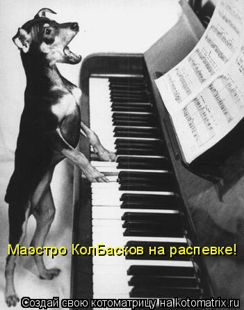 Маэстро КолБасков на распевке!... Котоматрица: Маэстро КолБасков на распевке!