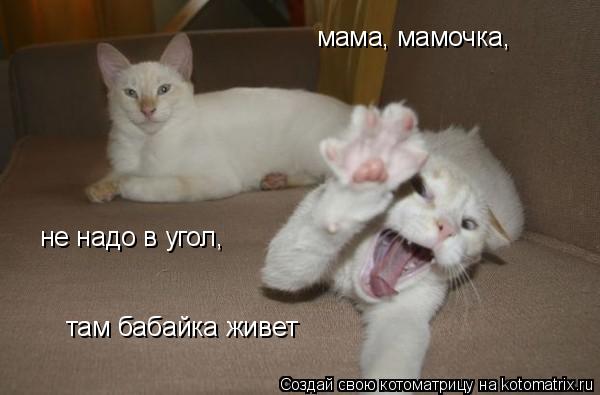 мама, мамочка, не надо в угол, там бабайка живет... Котоматрица: мама, мамочка, не надо в угол, там бабайка живет