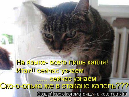 На языке- всего лишь капля! Итак!! сейчас узнаем ...... сейчас узнаем Ско-о-олько же в стакане капель... Котоматрица: На языке- всего лишь капля! Итак!! сейчас узнаем ...... сейчас узнаем Ско-о-олько же в стакане капель???