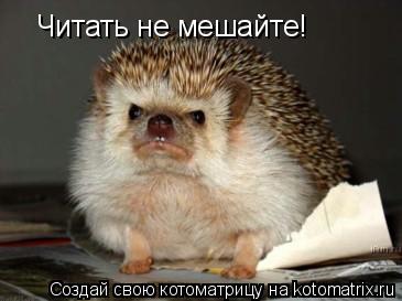 Читать не мешайте!... Котоматрица: Читать не мешайте!