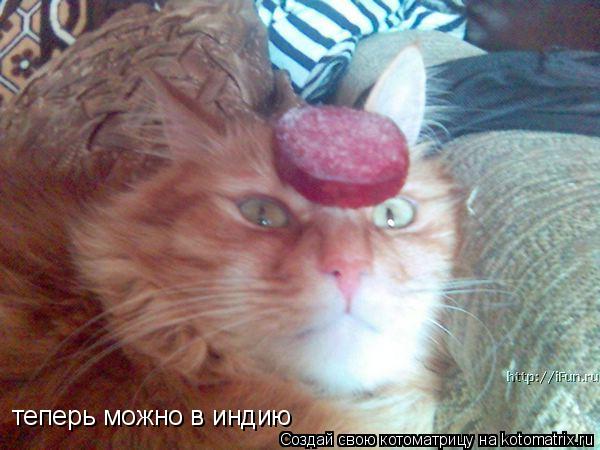 теперь можно в индию... Котоматрица: теперь можно в индию