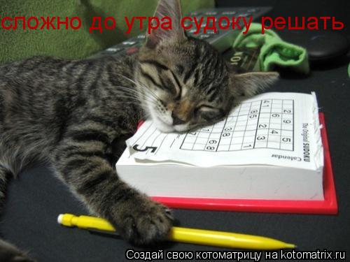 сложно до утра судоку решать... Котоматрица: сложно до утра судоку решать