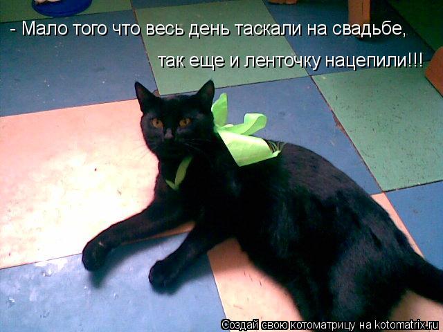 - Мало того что весь день таскали на свадьбе, - Мало того что весь день таскали на свадьбе, - Мало то... Котоматрица: - Мало того что весь день таскали на свадьбе, - Мало того что весь день таскали на свадьбе, - Мало того что весь день таскали на свадьбе, так ещ