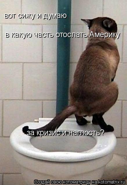 вот сижу и думаю в какую часть отослать Америку за кризис и наглость?... Котоматрица: вот сижу и думаю в какую часть отослать Америку за кризис и наглость?