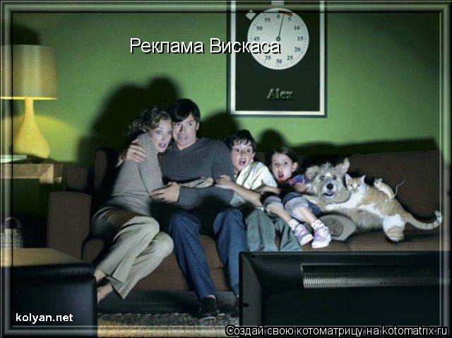 Реклама Вискаса... Котоматрица: Реклама Вискаса