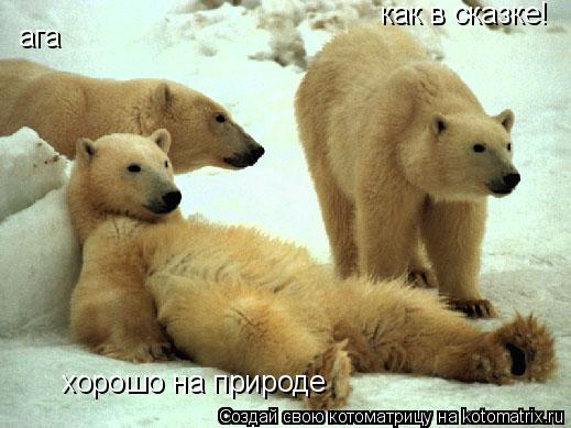 хорошо на природе ага как в сказке!... Котоматрица: хорошо на природе ага как в сказке!