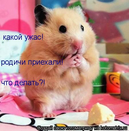 какой ужас! родичи приехали! что делать?!... Котоматрица: какой ужас! родичи приехали! что делать?!