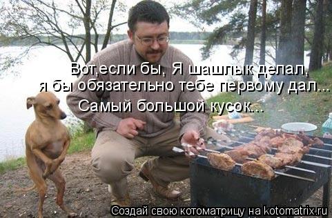 Вот,если бы, Я шашлык делал, я бы обязательно тебе первому дал... Самый большой кусок...... Котоматрица: Вот,если бы, Я шашлык делал, я бы обязательно тебе первому дал... Самый большой кусок...