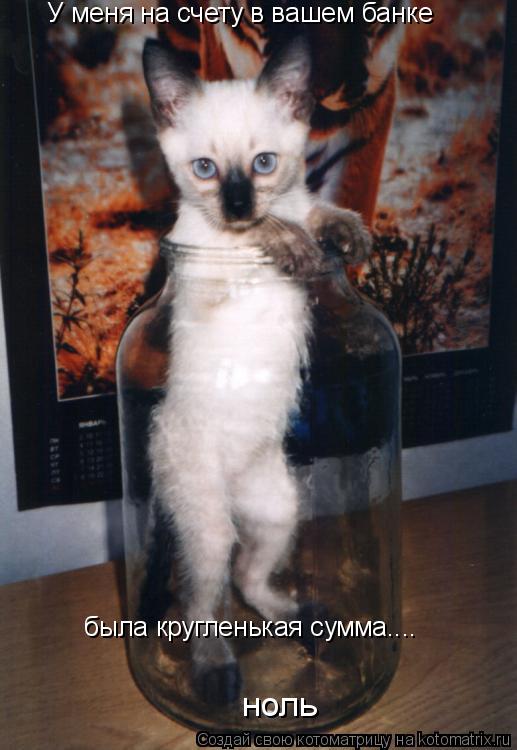 У меня на счету в вашем банке была кругленькая сумма....ноль У меня на счету в вашем банке была круг... Котоматрица: У меня на счету в вашем банке была кругленькая сумма....ноль У меня на счету в вашем банке была кругленькая сумма.... ноль