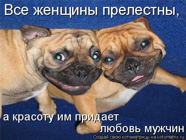 Все женщины прелестны, а красоту им придает любовь мужчин... Котоматрица: Все женщины прелестны, а красоту им придает любовь мужчин