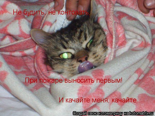 Не будить, не контовать,.. При пожаре выносить первым! И качайте меня, качайте...... Котоматрица: Не будить, не контовать,.. При пожаре выносить первым! И качайте меня, качайте...