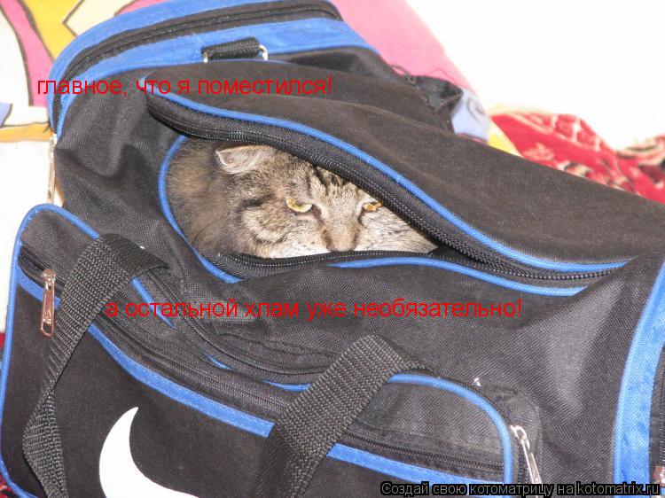 главное, что я поместился! а остальной хлам уже необязательно!... Котоматрица: главное, что я поместился! а остальной хлам уже необязательно!