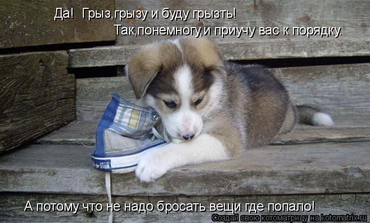 Да! Грыз,грызу и буду грызть! Так,понемногу,и приучу вас к порядку. А потому что не надо бросать вещ... Котоматрица: Да! Грыз,грызу и буду грызть! Так,понемногу,и приучу вас к порядку. А потому что не надо бросать вещи где попало!