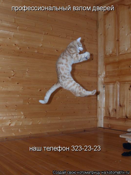 профессиональный взлом дверей наш телефон 323-23-23... Котоматрица: профессиональный взлом дверей наш телефон 323-23-23