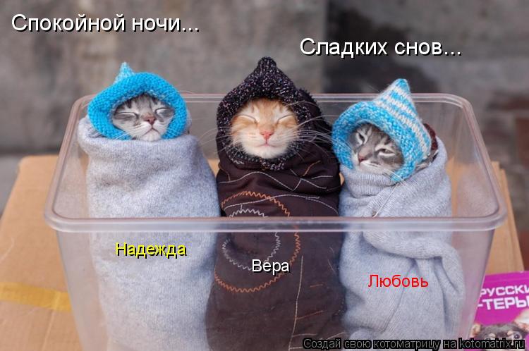 Спокойной ночи... Сладких снов... Надежда Вера Любовь... Котоматрица: Спокойной ночи... Сладких снов... Надежда Вера Любовь