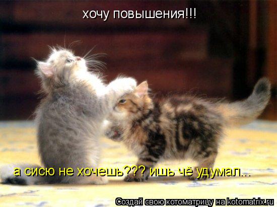 хочу повышения!!! а сисю не хочешь??? ишь чё удумал...... Котоматрица: хочу повышения!!! а сисю не хочешь??? ишь чё удумал...