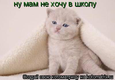 ну мам не хочу в школу... Котоматрица: ну мам не хочу в школу