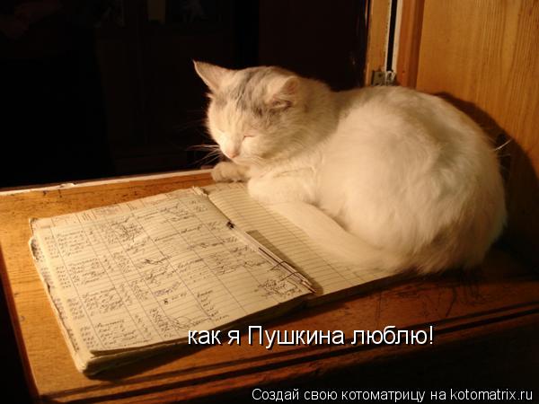 как я Пушкина люблю!... Котоматрица: как я Пушкина люблю!