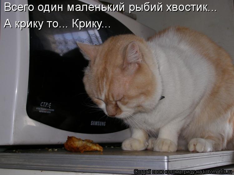 Всего один маленький рыбий хвостик... А крику то... Крику...... Котоматрица: Всего один маленький рыбий хвостик... А крику то... Крику...