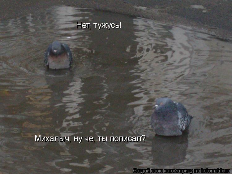 Михалыч, ну че, ты пописал? Нет, тужусь!... Котоматрица: Михалыч, ну че, ты пописал? Нет, тужусь!
