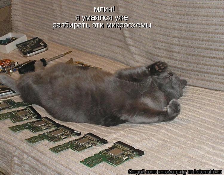 млин! я умаялся уже разбирать эти микросхемы... Котоматрица: млин! я умаялся уже разбирать эти микросхемы