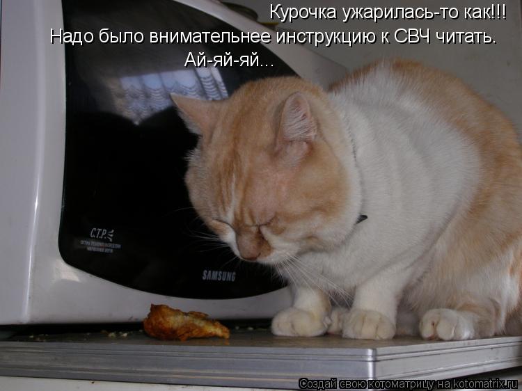 Курочка ужарилась-то как!!! Надо было внимательнее инструкцию к СВЧ читать. Ай-яй-яй...... Котоматрица: Курочка ужарилась-то как!!! Надо было внимательнее инструкцию к СВЧ читать. Ай-яй-яй...