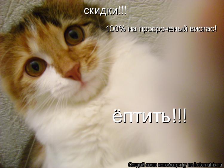 скидки!!! 100% на просроченый вискас! ёптить!!!... Котоматрица: скидки!!! 100% на просроченый вискас! ёптить!!!