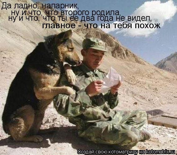 Да ладно, напарник, ну и что, что второго родила, ну и что, что ты ее два года не видел, главное - чт... Котоматрица: Да ладно, напарник, ну и что, что второго родила, ну и что, что ты ее два года не видел, главное - что на тебя похож