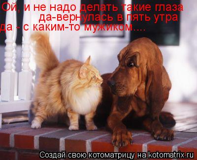 Ой, и не надо делать такие глаза да-вернулась в пять утра да - с каким-то мужиком....... Котоматрица: Ой, и не надо делать такие глаза да-вернулась в пять утра да - с каким-то мужиком....