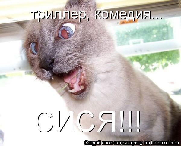 СИСЯ!!! триллер, комедия...... Котоматрица: СИСЯ!!! триллер, комедия...