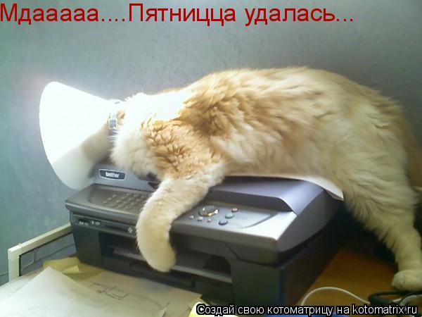 Мдааааа....Пятницца удалась...... Котоматрица: Мдааааа....Пятницца удалась...